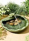Frog Water Feature