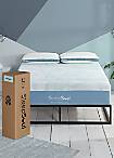 Playtex Tulle Decor Bra